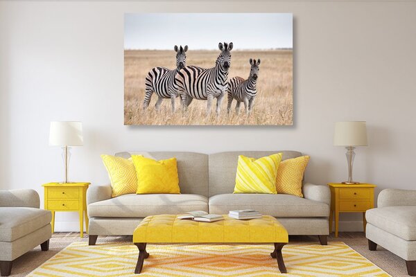 Tablou trei zebre în savana