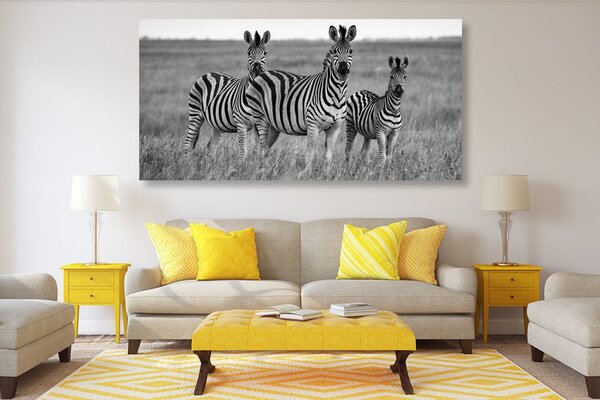 Tablou trei zebre în savana în design alb-negru