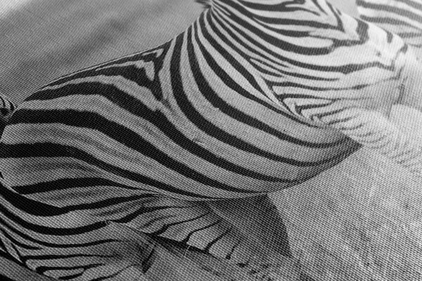 Tablou trei zebre în savana în design alb-negru