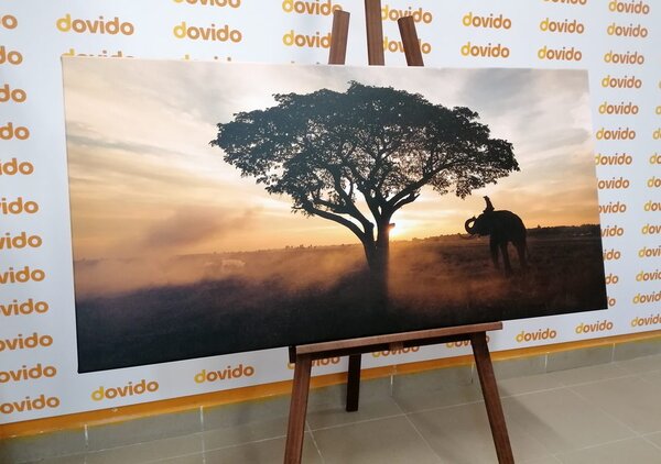 Tablou elefant la răsăritul de soare