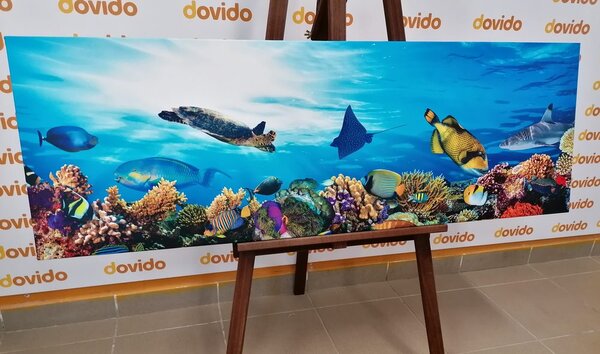 Tablou recif de corali cu pești și broaște țestoase