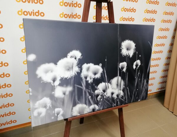 Tablou iarbă din bumbac în design alb-negru