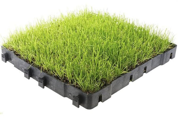 Grila parcare si gazon, pavaj eco G40, 300 tone/mp, 385x385x40 mm, negru