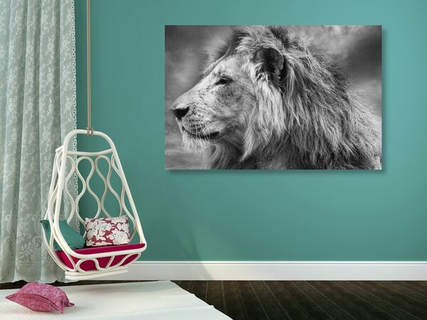 Tablou leu african în design alb-negru