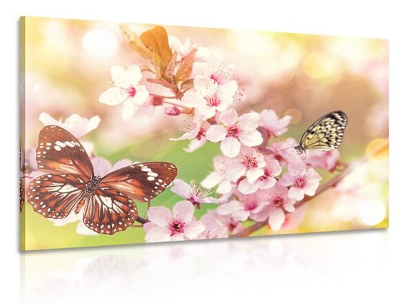 Tablou florile de primăvară cu fluturi exotici
