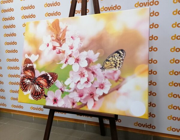 Tablou florile de primăvară cu fluturi exotici