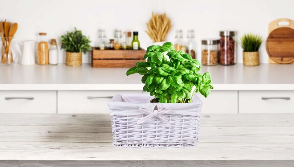 Cos din rachita, 30x20x15 cm, captuseala de in la interior, alb, pentru diverse obiecte si accesorii
