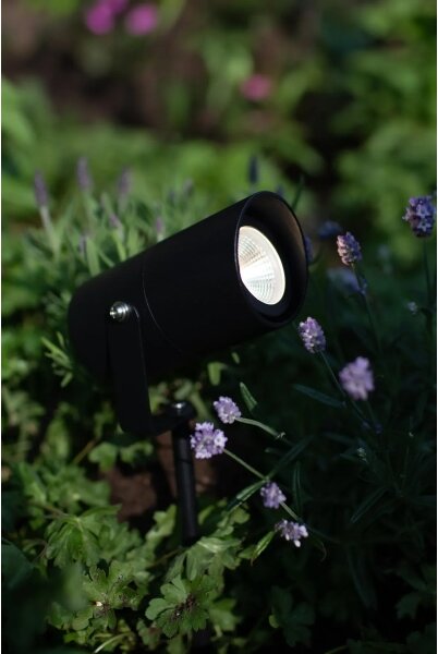 Markslöjd 108484 - Lampă LED de exterior GARDEN24 LED/6W/24V 30 cm IP44 neagră