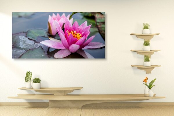 Tablou floare de lotus roz