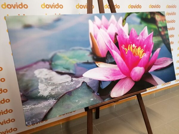 Tablou floare de lotus roz