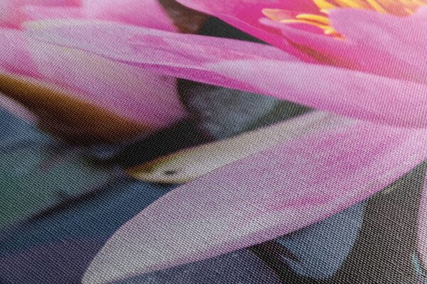 Tablou floare de lotus roz