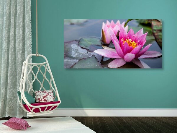 Tablou floare de lotus roz