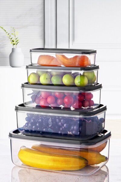 Set cutii de depozitare (5 bucati) EMBSEF05 Transparent 22.5x15x8 cm