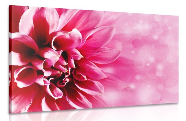 Tablou floare roz