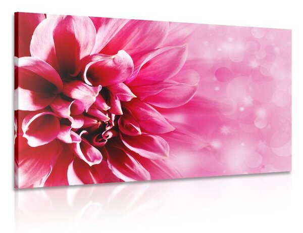 Tablou floare roz