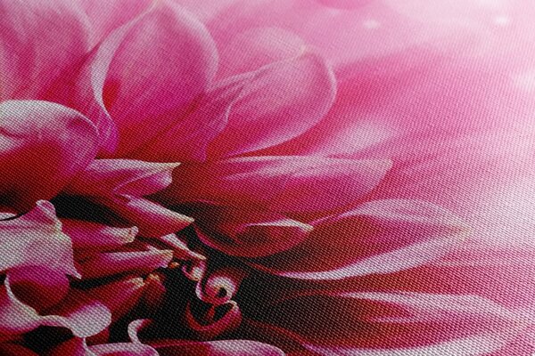Tablou floare roz