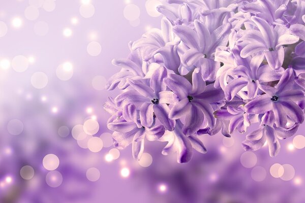 Tablou floare violeteă de liliac