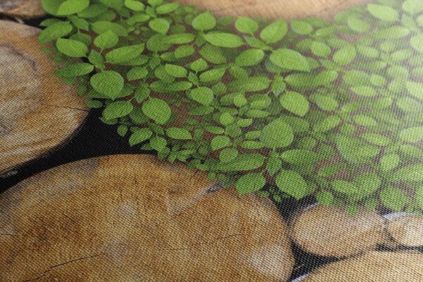 Tablou Yin și Yang într-un design ecologic