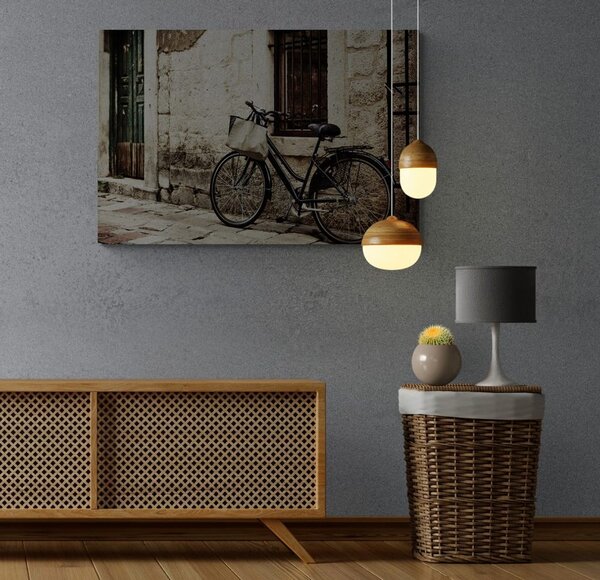 Tablou bicicleta retro