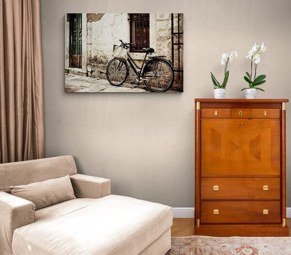 Tablou bicicleta retro