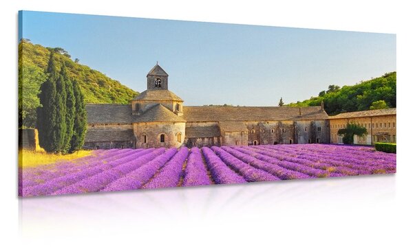 Tablou Provence cu câmpuri de lavandă