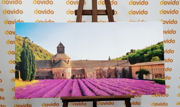 Tablou Provence cu câmpuri de lavandă