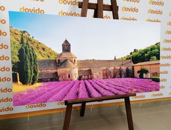 Tablou Provence cu câmpuri de lavandă