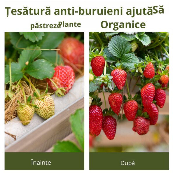 Outsunny Folie Neagră de Mulci 50x2m, Protecție UV, pentru Grădină, Sera, Drenaj Eficient | Aosom Romania