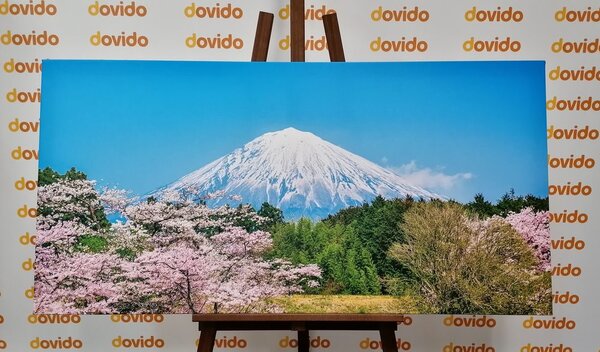 Tablou muntele Fuji