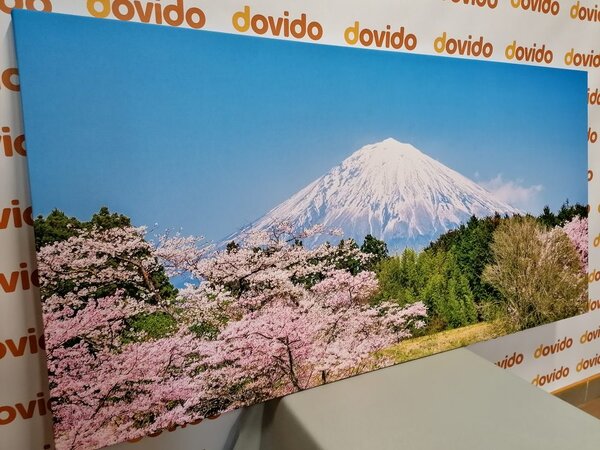 Tablou muntele Fuji