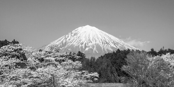 Tablou muntele Fuji în design alb-negru