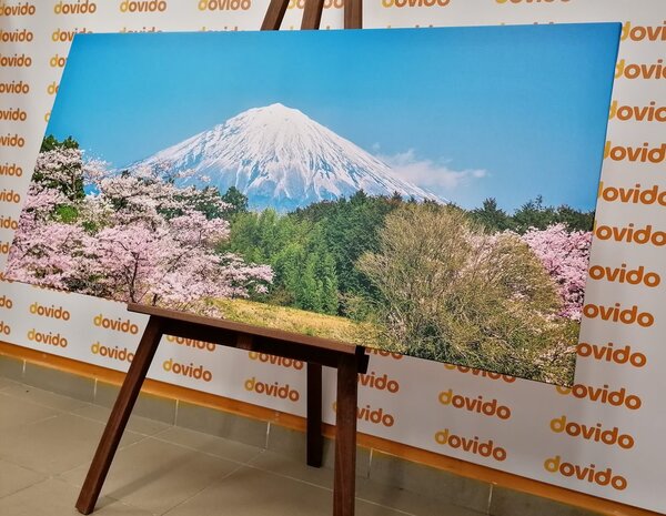 Tablou muntele Fuji