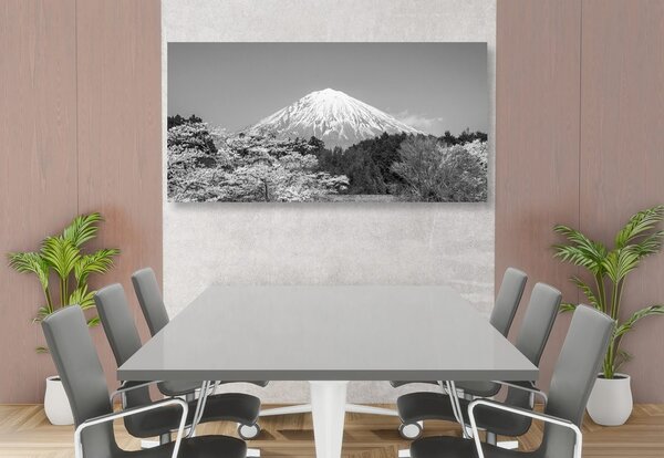 Tablou muntele Fuji în design alb-negru