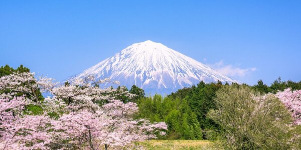 Tablou muntele Fuji
