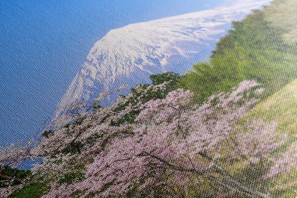 Tablou muntele Fuji