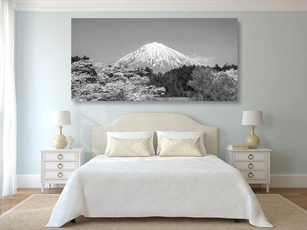 Tablou muntele Fuji în design alb-negru