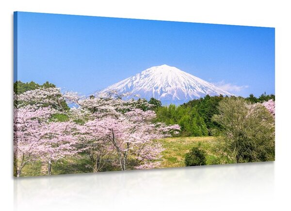 Tablou vulcanul Fuji