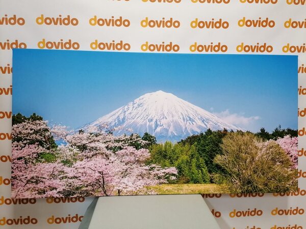 Tablou muntele Fuji