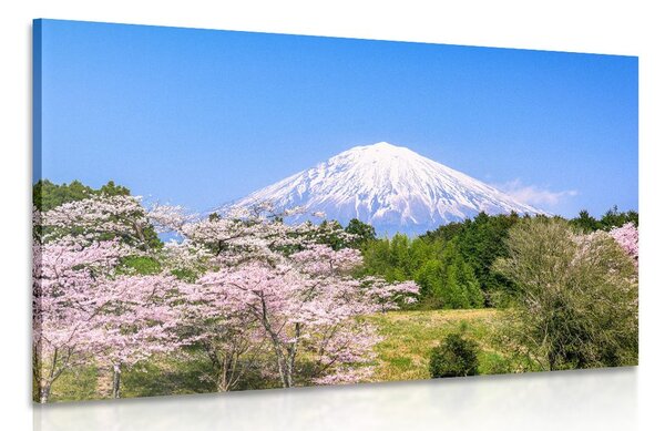 Tablou vulcanul Fuji