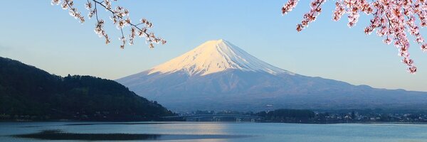 Tablou vedere la muntele Fuji