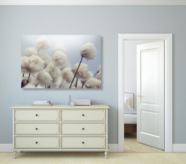 Tablou flori de bumbac arctice