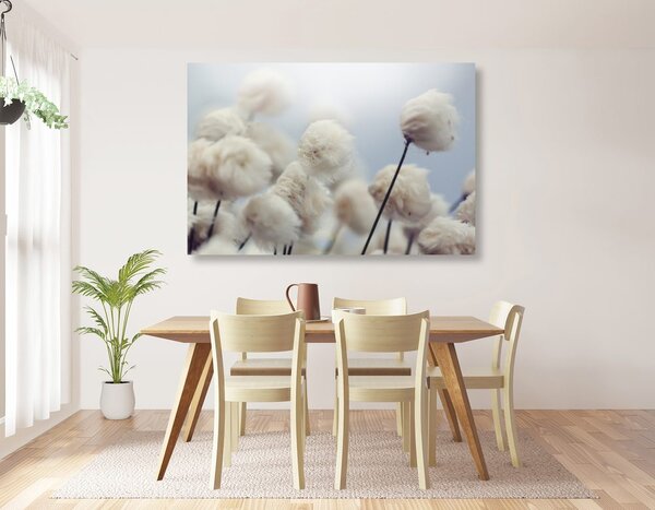 Tablou flori de bumbac arctice