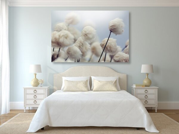Tablou flori de bumbac arctice
