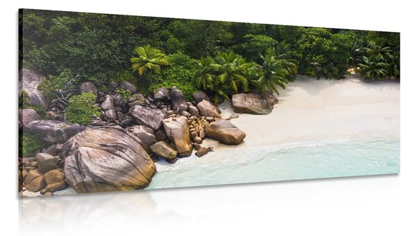 Tablou coastă Seychelles