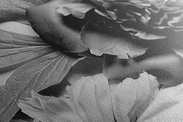 Tablou bujori în design alb-negru
