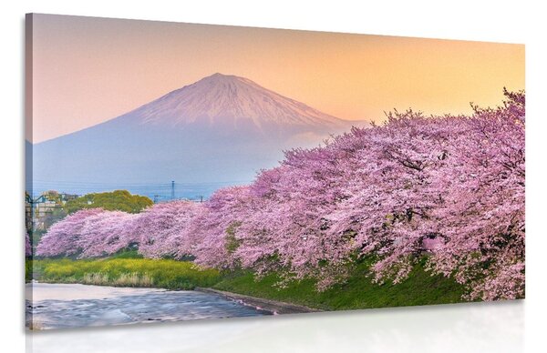 Tablou vulcanul japonez Fuji