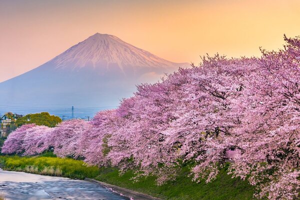 Tablou vulcanul japonez Fuji