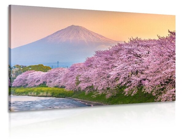 Tablou vulcanul japonez Fuji