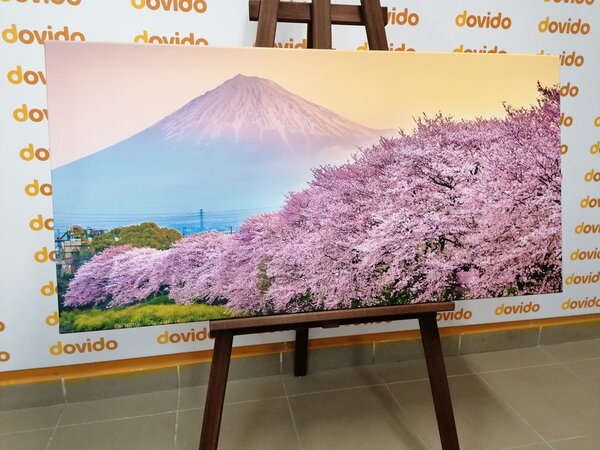 Tablou Japonia minunată