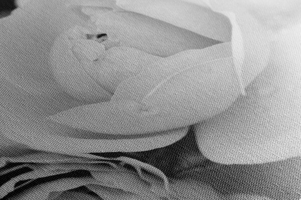Tablou plin de trandafiri în design alb-negru